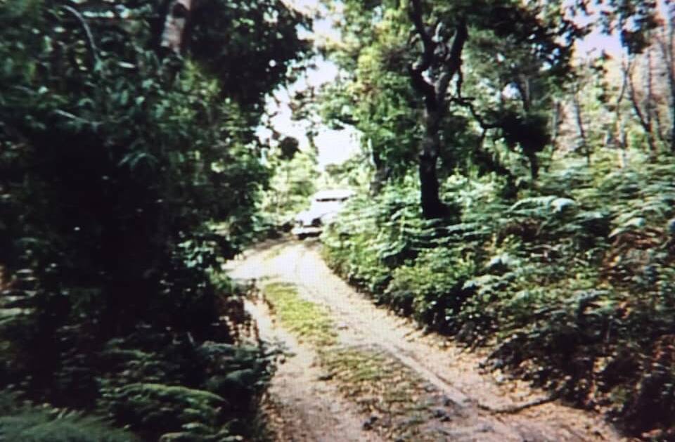 Old Ghost Road: This photograph was taken in 1955 and courtesy of Peter Welsh. Picture: Back to Bonny Hills Facebook group. 