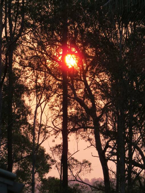 Extreme fire danger into the weekend has forced a total fire ban across the Mid-North Coast. Photo: Rachel Somers. 