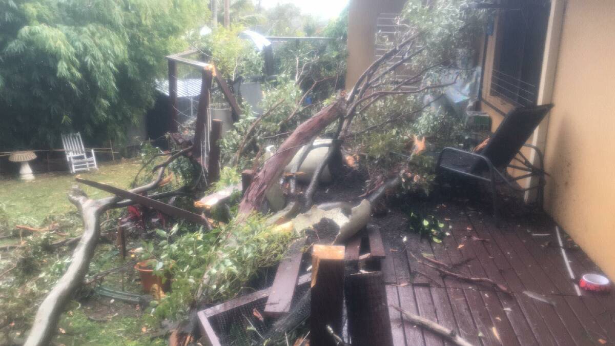 WIld weather: NSW SES Port Macquarie unit were called to a residential property after a tree fell in strong winds and caused damage when it hit the backyard deck. Photo: NSW SES Port Macquarie