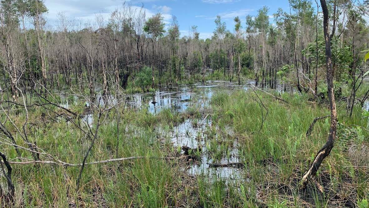 Area of the wetland south west of Port Macquarie Airport after rain in February. Photo: NSW Rural Fire Service