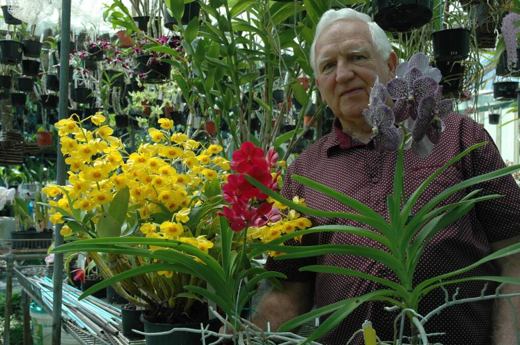Camden Haven Orchid Society committee member Wayne Stephensen in his orchid house, with examples of blooms to be displayed at the show. Photo: supplied. 