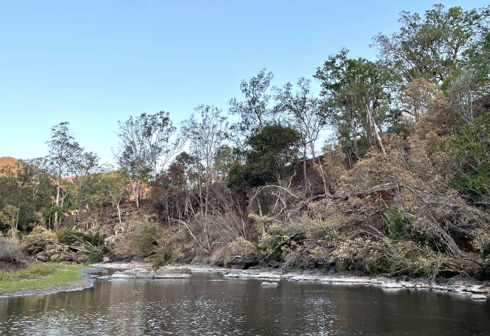 The Ellenborough River on Ms Love's property. Rocks which are normally under the river's water level are now visible on her property. Picture supplied by Sophie Love. 