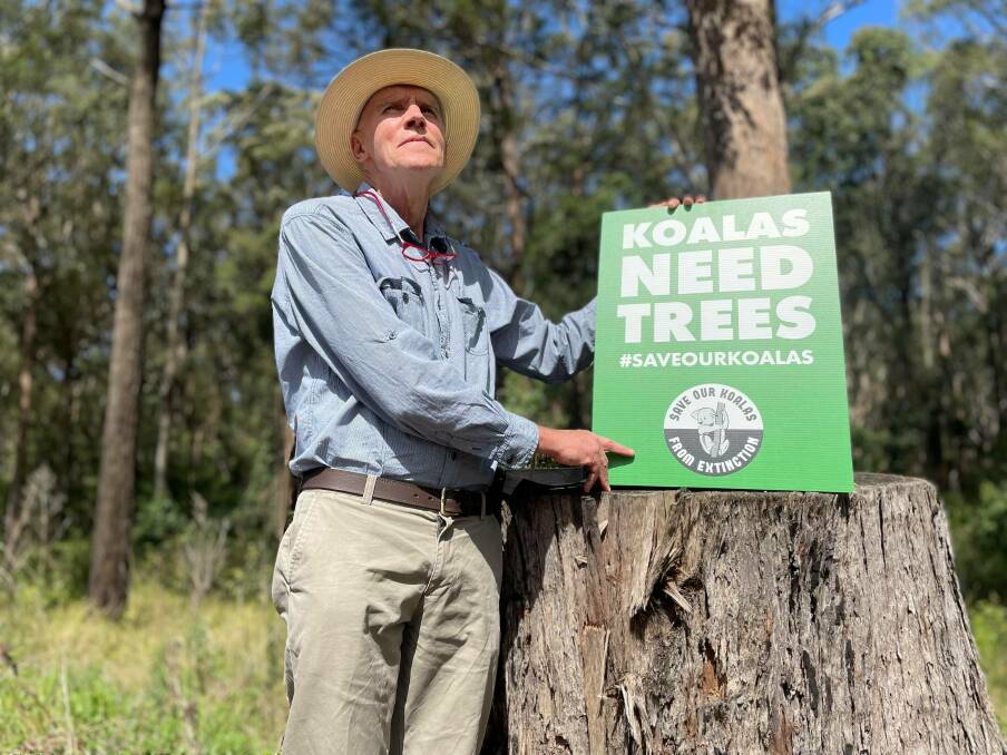 Koala custodian: Les Mitchell is a member of the Facebook group Guulago Koala Custodians and described the effort to save 200 hectares of core koala habitat at Lake Innes as 