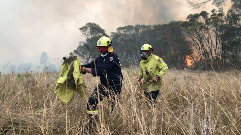 Intense moment: Crews escape the blaze while saving a koala. Photo: supplied. 