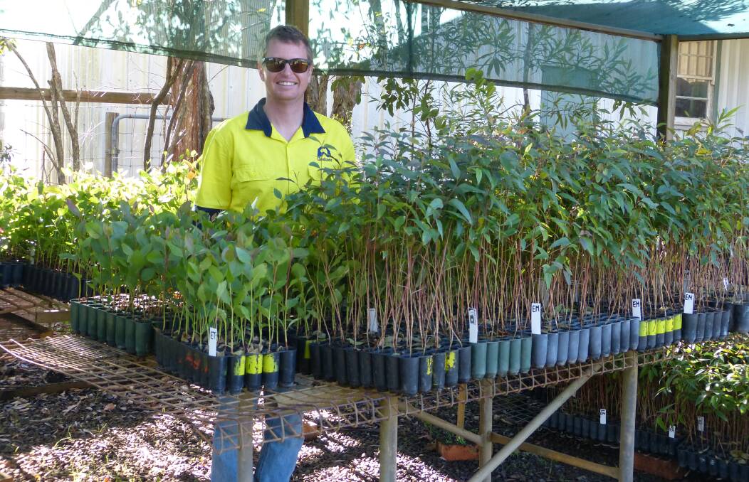 Valuable project: Stephen Allwood. Photo: Hastings Landcare. 