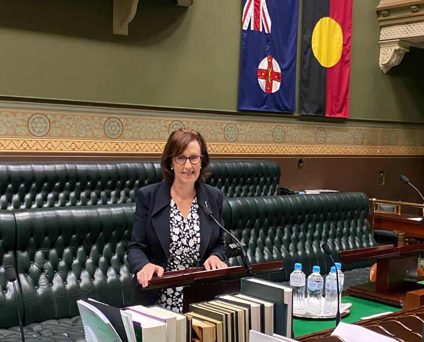 Member for Port Macquarie Leslie Williams, shortly after raising her concerns about Port Macquarie-Hastings Council in an address to the NSW Parliament Photo: supplied. 