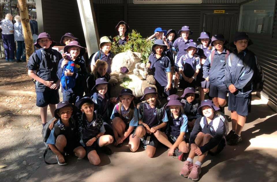 Lake Cathie Public School students at the Port Macquarie Koala Hospital. Photo: supplied. 