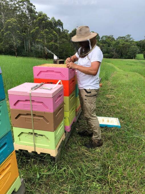 Beekeeper Sven at the Johns River property. Photo: Amber Drop Honey. 