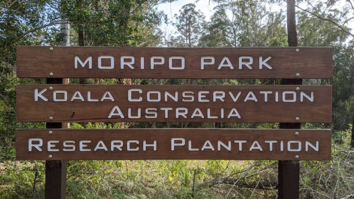 New food tree plantation: Moripo Park is located near Wauchope. Photo: supplied. 