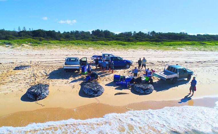 Danny Elliott and his fellow fishermen pulled in another big haul of mullet at Tuncurry earlier this month. Photo by Adam Fitzroy.