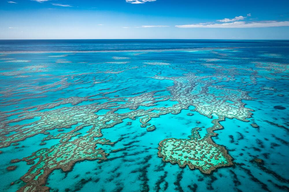 Visiting the Great Barrier Reef: A guide