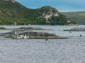 Salmon farms in Macqaurie Harbour on Tasmania's west coast. Picture Shutterstock