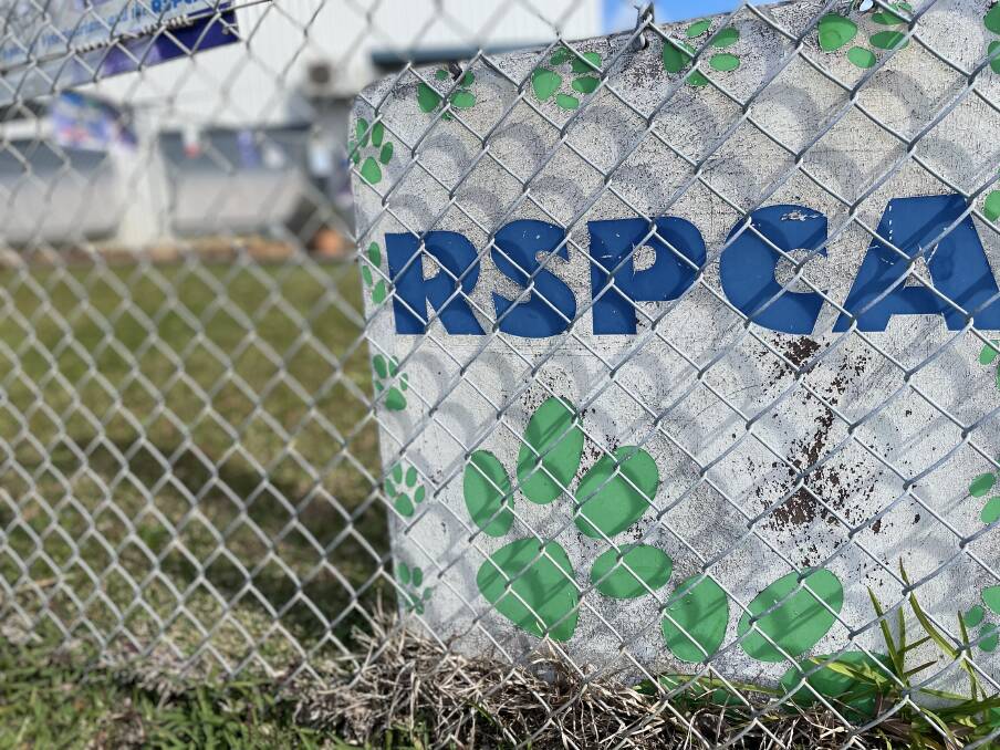 The shelter at Karungi Crescent closed its doors for the last time on April 26 leaving just six RSPCA shelters across NSW.