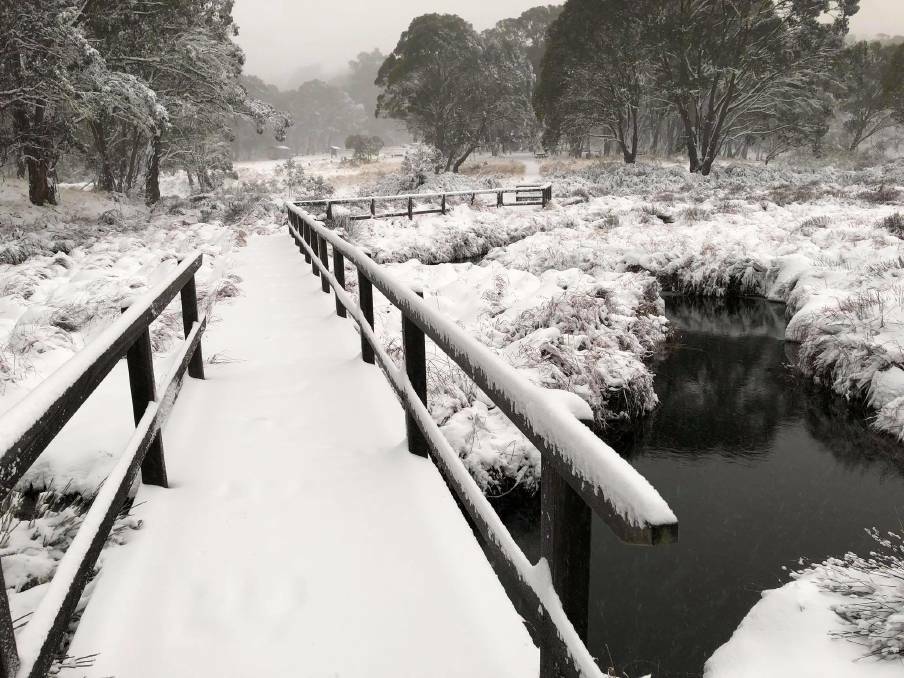 Snow is predicted at Barrington Tops. All access to the Tops is closed while road repairs continue. Photo: Jodi Mattiussi.