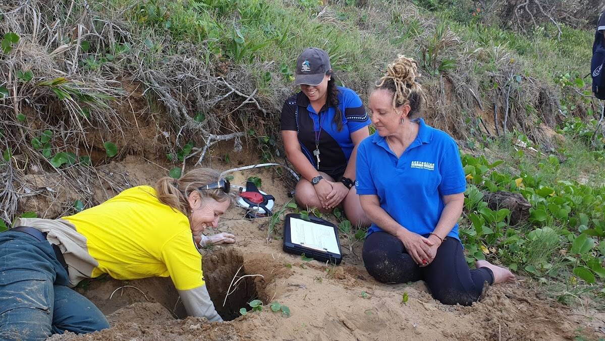 Gina Hart from National Parks and Wildlife Service, Tani Karaka of Dolphin Marine Conservation Park, and Holly West of New South Wales TurtleWatch undertake a nest excavation.