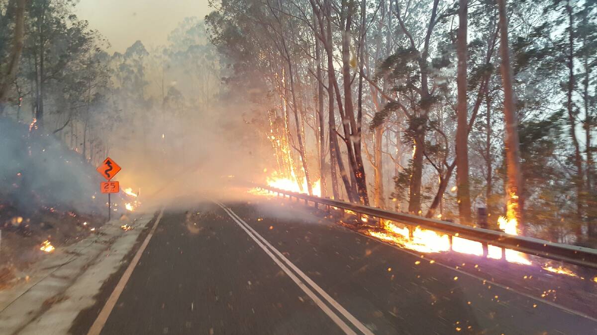 The Oxley Highway at Mt Seaview. Photo: Wauchope RFS.