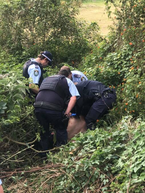 NSW Dog Unit - PD Yankee assisted Mid North Coast Police shortly after 10am on September 14. Photo: Mid North Coast Police.