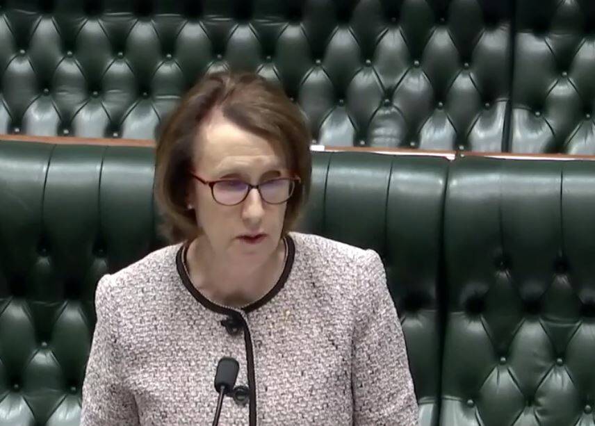 Member for Port Macquarie Leslie Williams in the NSW Parliament this week.