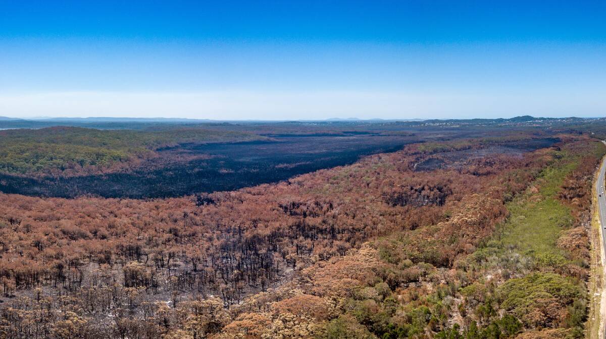Charred landscape: An aerial view of the aftermath of the Crestwood-Lake Cathie fire. Photo: www.Roving-Eye.com