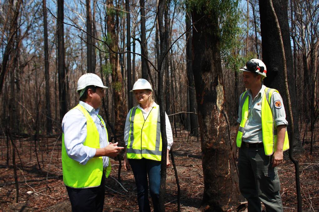 Member for Cowper Pat Conaghan, Sussan Ley and NSW National Parks and Wildlife Service Ranger Geoff James during an inspection of the bushfire impacts at Lake Innes Nature Reserve in January this year.