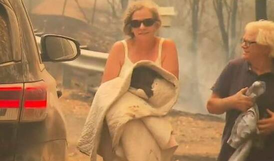 Nine News captured the moment Toni Doherty and her partner Peter rescued the burning koala from a fire zone near Long Flat. 