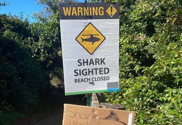 Beaches across Port Macquarie were closed after the attack. Photo: Port Macquarie ALS Lifeguards.
