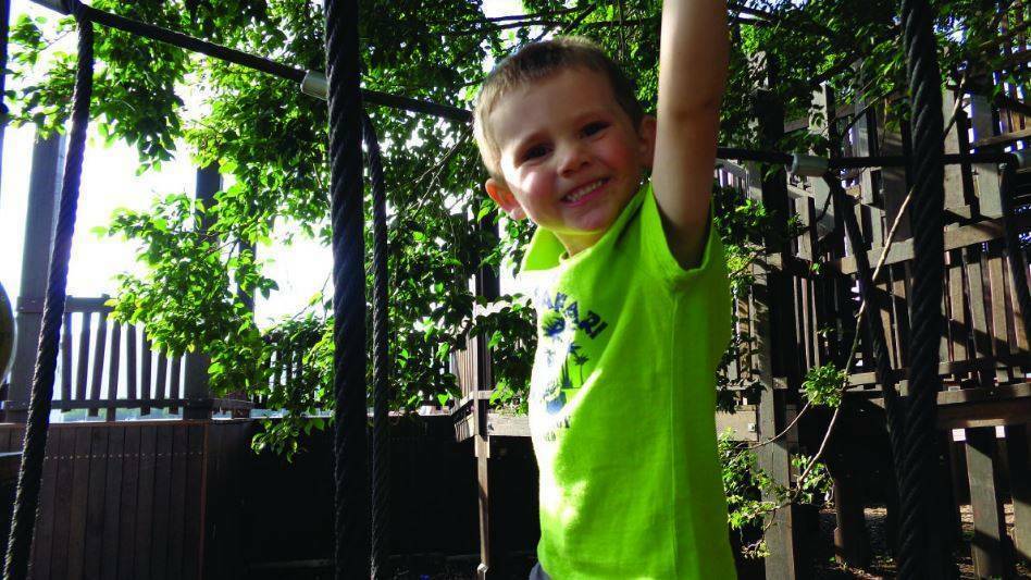 A roar, then nothing: the moment William Tyrrell disappeared