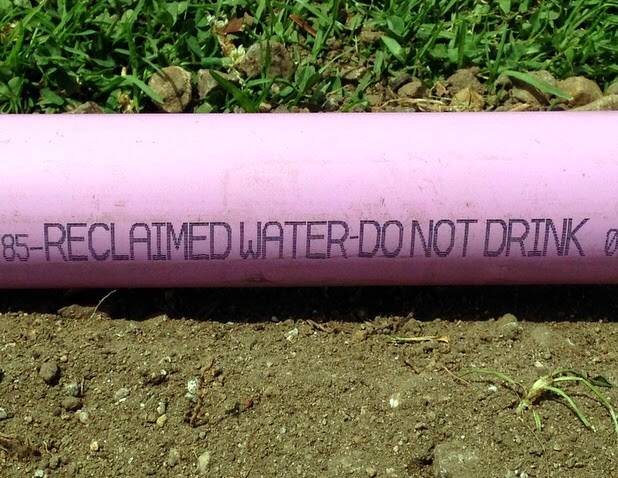 The reclaimed water network runs through a series of purple pipes across Port Macquarie. The highly treated water is used for irrigation purposes only and is not approved for drinking.