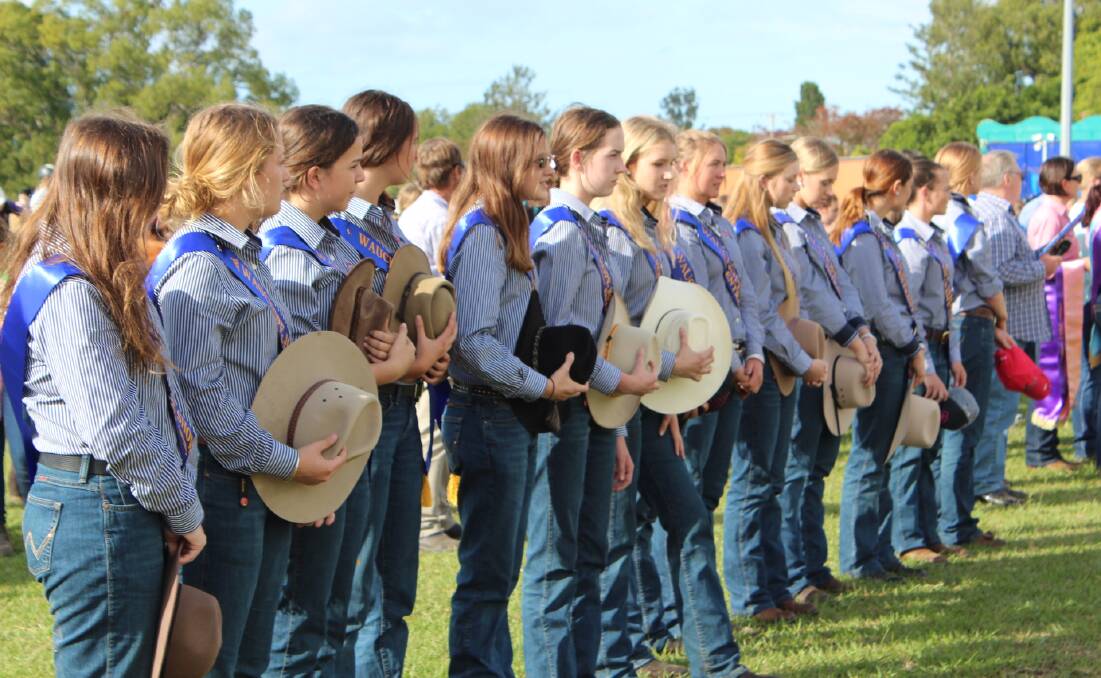 Entrants in the 2017 Wauchope Showgirl competition.