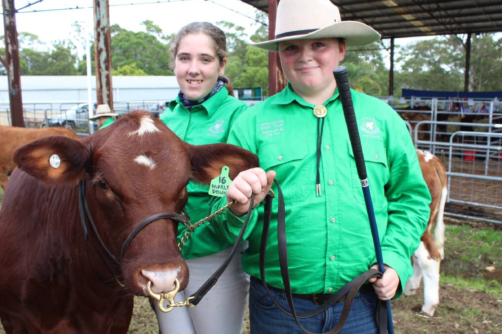 Belicia Watson and Thomas Tynan of Chatham High School show their beef cattle.