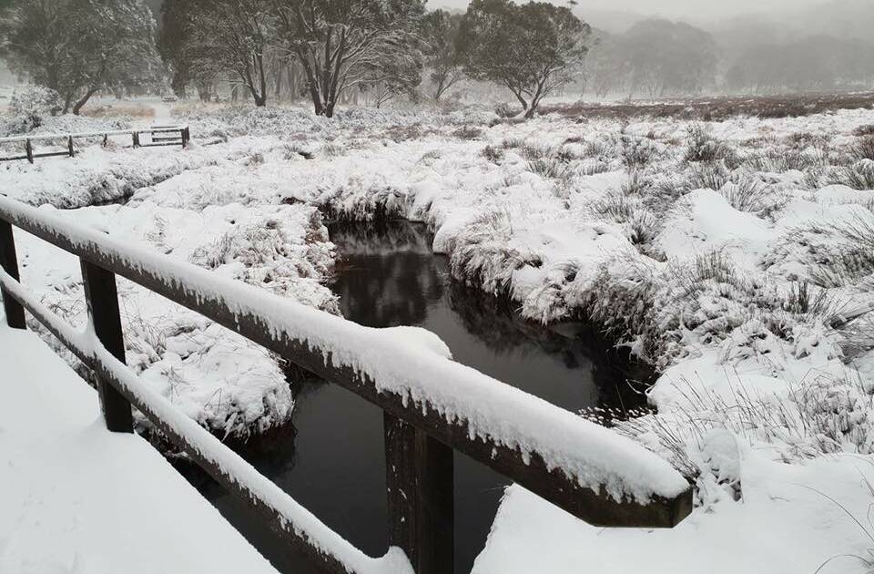 Good falls: Barrington tops was cloaked in a good dump of snow. Photo: Rob Balint - Barrington Snow Chasers.