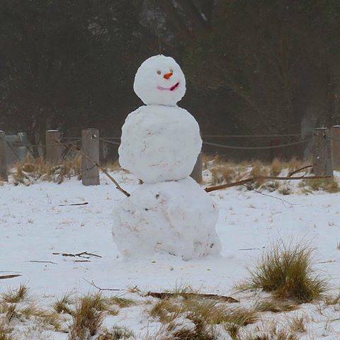 Snow fell across inland parts of the Mid North Coast in August 2020. Photo: Katrina Begg.