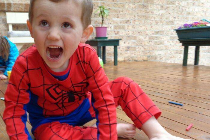 William Tyrrell was wearing a Spiderman suit at the time of his disappearance.