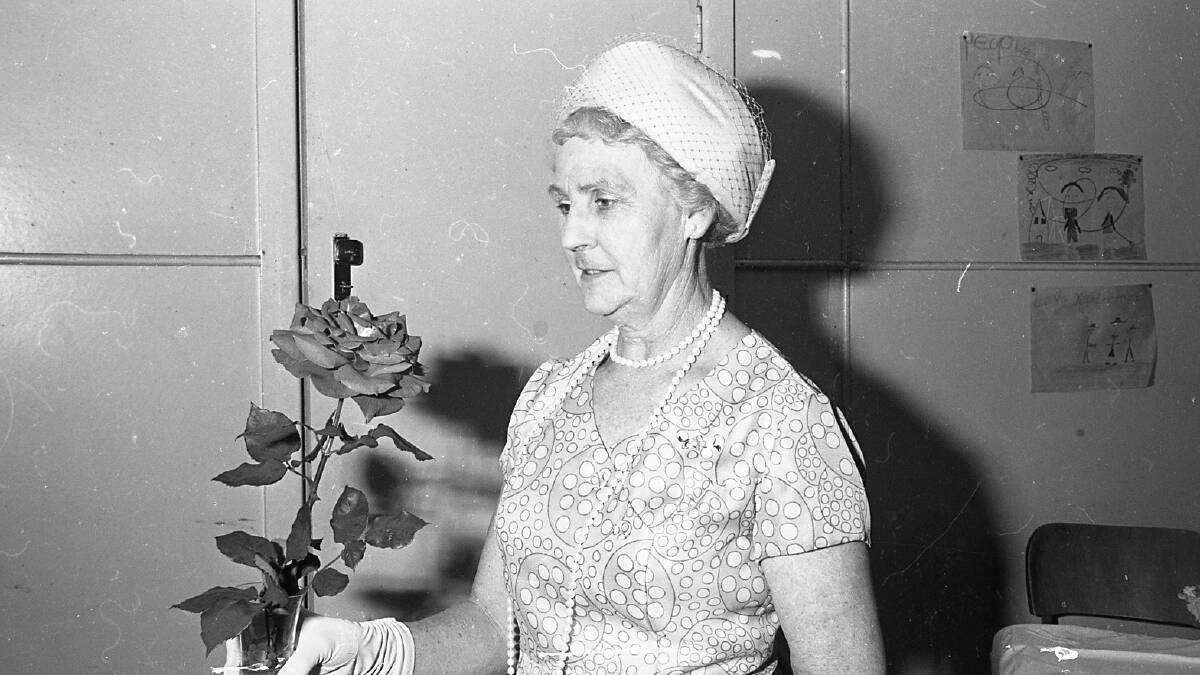 Mrs Stewart Kennedy admires one of the rose entries at the Methodist Flower Show, 1971