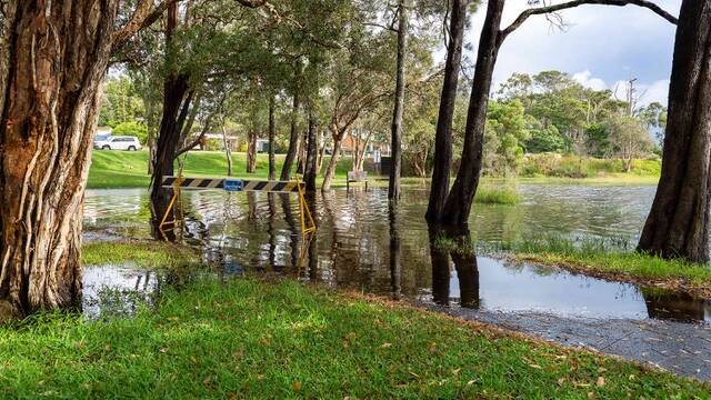 Low lying inundation has Lake Cathie residents frustrated by the lack of action on opening the waterway to the ocean. Photos: Stewart Cooper.