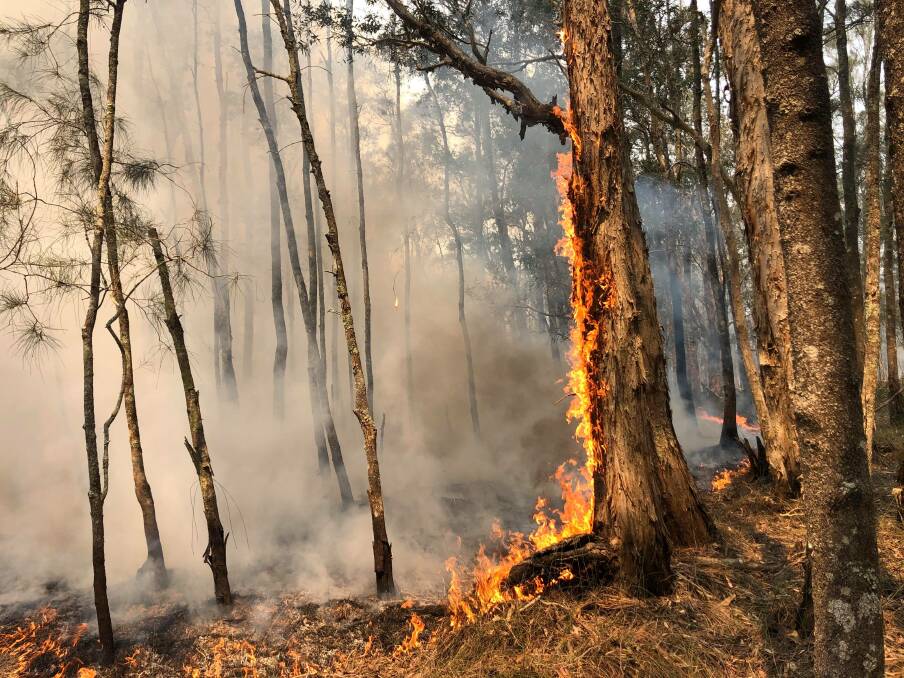 The fire continued to burn over the ground where lake water once was, at Lisa Willow's property in Lake Cathie this morning. Photo: Lisa Willows.