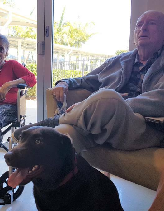 Labrador Molly has a nose for companionship as she visits residents at Emmaus aged care in Port Macquarie.