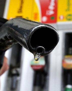 Fuel price farce finally raises ire of Cowper MP