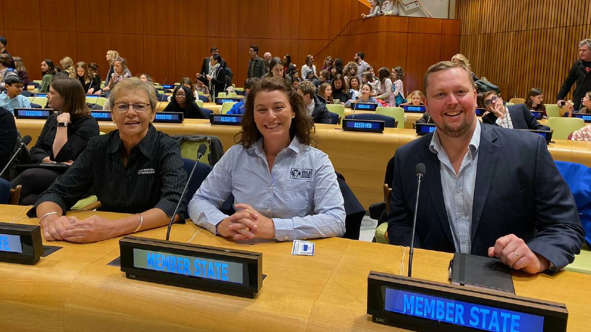 Dr Rebecca Montague-Drake (centre) on the floor of UN HQ, with Cheyne Flanagan (left) Koala Hospital Port Macquarie and Nick Boyle, Director Welfare, Conservation and Science at Taronga Zoo.