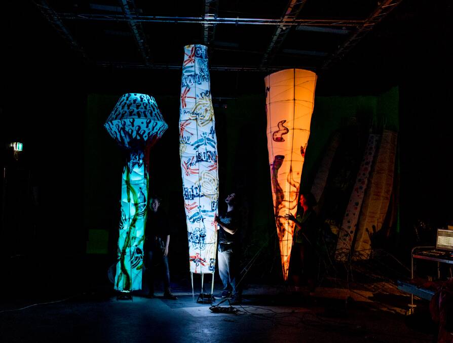 Light up: Port Macquarie TAFE students will have their work on show at Vivid Sydney.