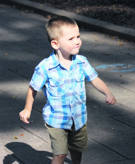 William Tyrrell was just three years old when he went missing from Kendall in 2014. He has not been seen since.