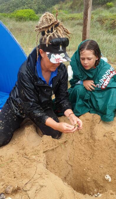 Holly West from NSW TurtleWatch examining a turtle nest.