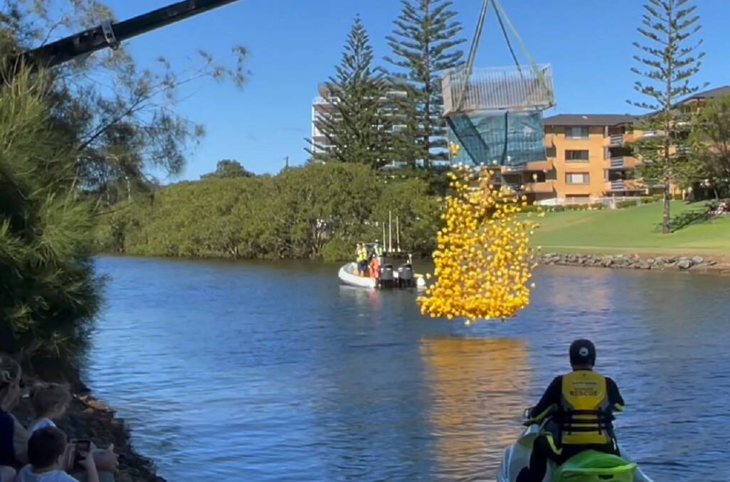 One thousand yellow ducks were dropped into Kooloonbung Creek for the Port Macquarie Lions annual duck race.