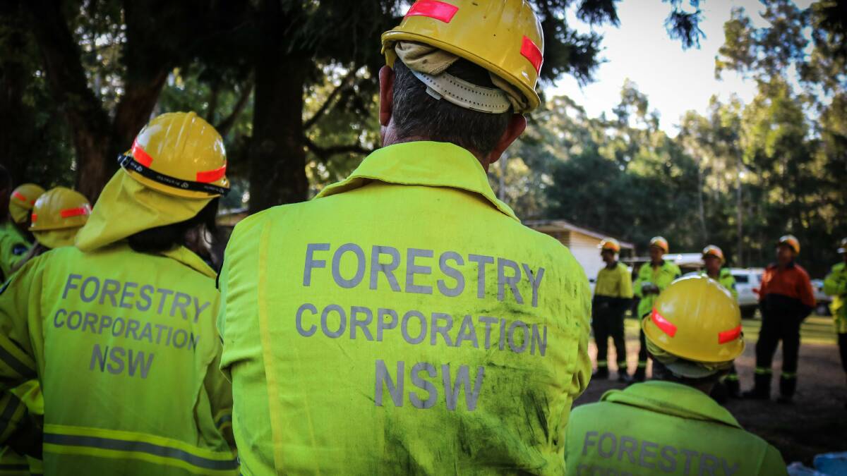 Forestry crew fine-tune fire skills ahead of summer
