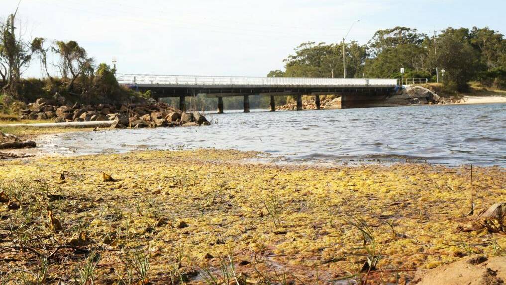 It's sick: Sludge where there was once water at Lake Cathie. Photo: Lincoln Beddoe, Revive Lake Cathie.