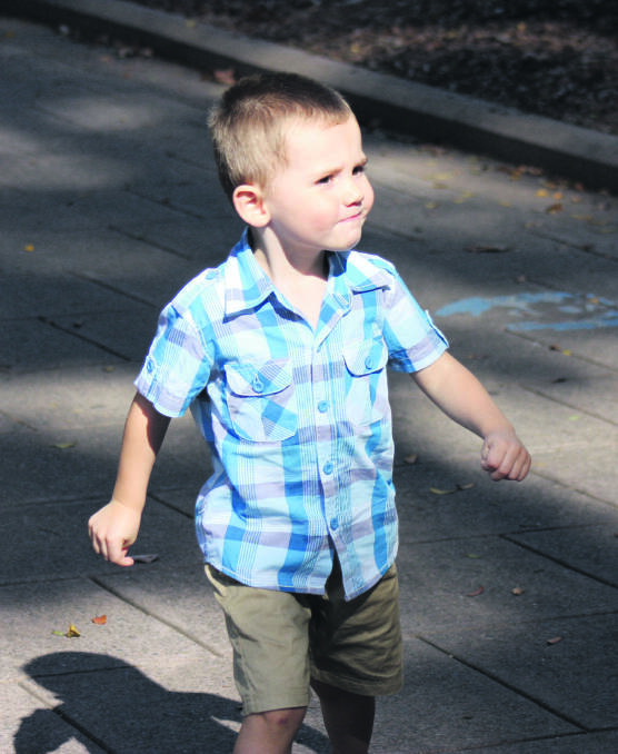 Inquest continues: William Tyrrell was three-years-old when he went missing. 