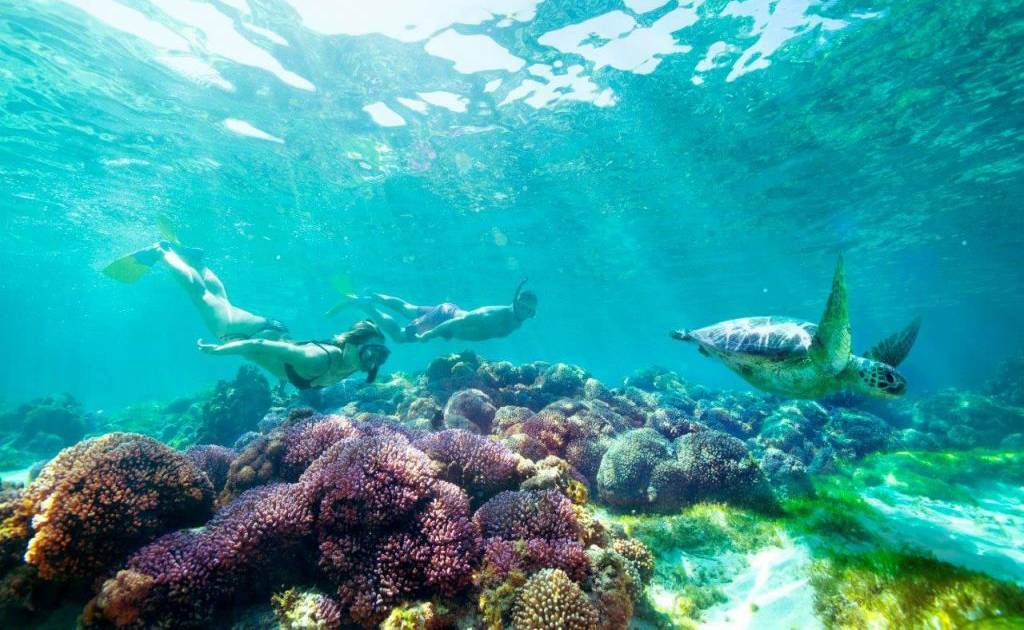 The calm water of Lord Howe Island lagoon is perfect for snorkeling. Photo: Lord Howe Island Tourism Association.