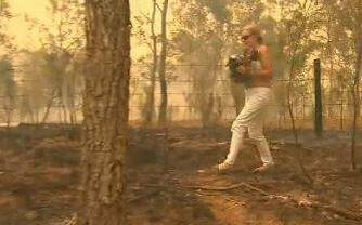 Worldwide attention: Toni Doherty rescues koala Ellenborough Lewis from the fires near Long Flat. Photo: Nine News.