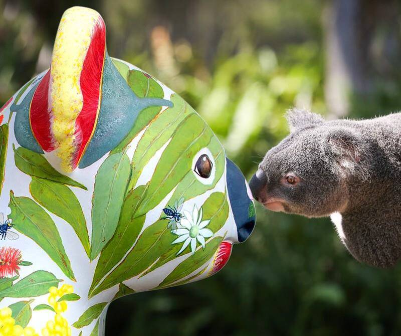 Koalas set up camp in Australian Botanic Garden