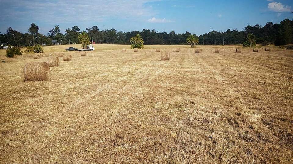 Donate hay for drought-stricken farmers.